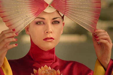 51 The Fall HD Wallpapers