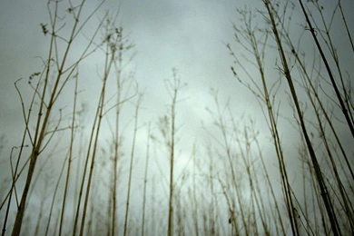 Nine Inch Nails "Ghosts I IV" iPad Retina Wallpapers (2048 X 2048 ...