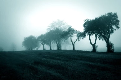 Theme Bin» Blog Archive » Misty Blue HD Wallpapers