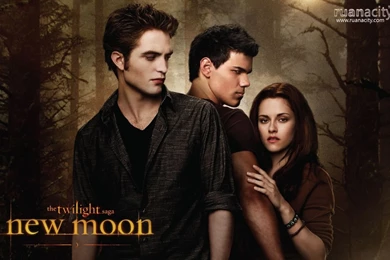 Wallpapers The Twilight Saga New Moon Photo Album By Mercc