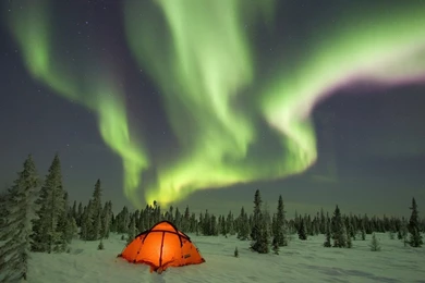 Real Northern Lights Hd   Wallpaper.