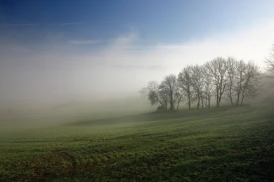 Fogs Misty Morning Nature HD Wallpapers