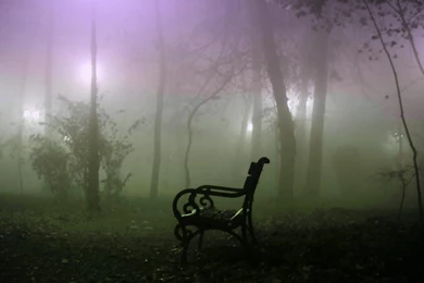 Misty Place To Sit >> HD Wallpaper, Get It Now!