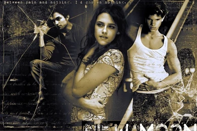 Wallpapers The Twilight Saga New Moon The Twilight Saga Robert ...