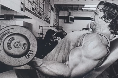 Schwarzenegger Training Pain Wallpapers