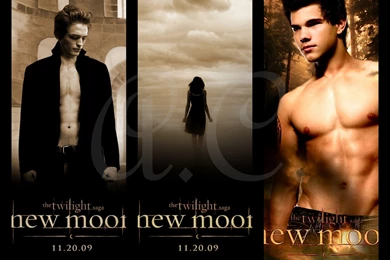 New Moon <3   Twilight Saga Movies Wallpapers (6686731)   Fanpop