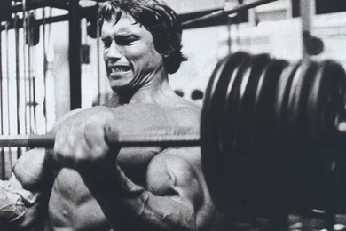 Arnold Schwarzenegger, Muscles, Training :: Wallpapers