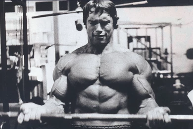Schwarzenegger Training Wallpapers And Images   Wallpapers ...