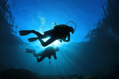 Scuba Diving Diver Ocean Sea Underwater Wallpapers