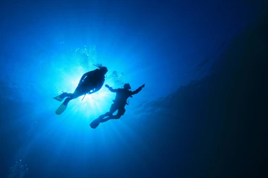 Free Scuba Diving Wallpapers Wallpapers Cave