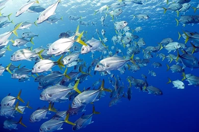 Wallpapers – Rudgr.com