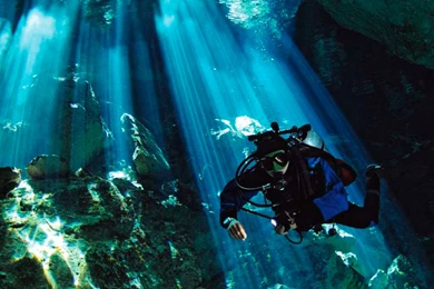 4K Papers   Scuba Diving Wallpapers