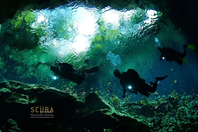 Scuba Diving (id: 175157) – BUZZERG