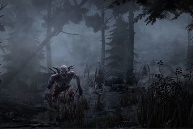 Misty Forest New Hd Wallpapers