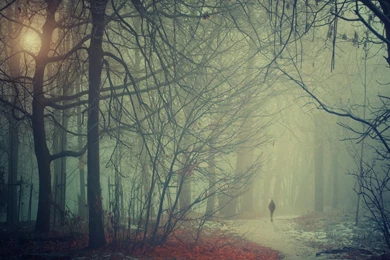 Misty Autumn Morning Wallpapers And Images   Wallpapers, Pictures ...