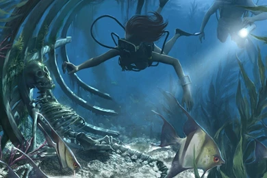 Diver, Ships, Wrecks, Skeletons, Shipwrecks, Scuba Diving ...