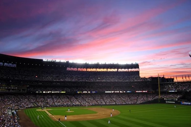 Hey Toronto Blue Jays