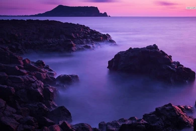 Misty Shore Wallpapers