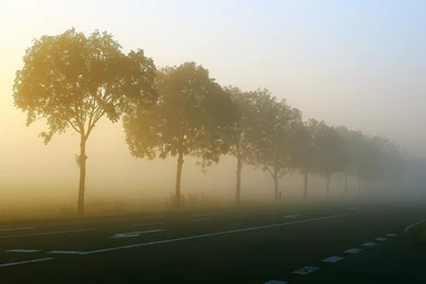 Beautiful Misty Morning