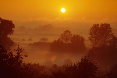Theme Bin» Blog Archive » Misty Sunset HD Wallpapers