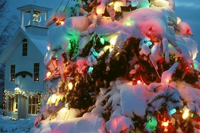 Free Holiday Wallpapers   All Wallpapers New