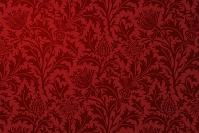 12 Solos A Violin Ou Traversi Sacd Iphone 6 Plus Wallpapers