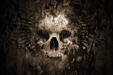 Winged Skull Desktop Wallpapers