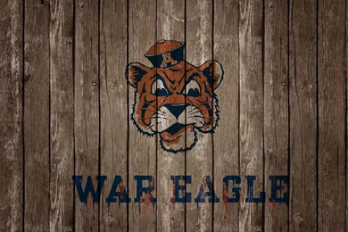 2014 Auburn Wallpapers