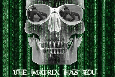The Matrix Wallpapers   The Matrix Wallpapers (6100562)   Fanpop