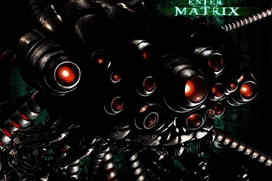 Enter The Matrix Wallpapers
