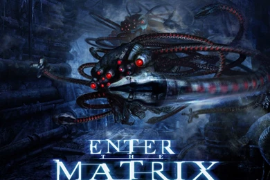 Enter The Matrix Wallpapers