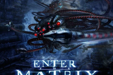 Download Wallpapers 1366x768 Enter The Matrix, Matrix, Hunter ...