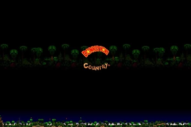 1024x768 Retro: Donkey Kong Country Desktop PC And Mac Wallpapers