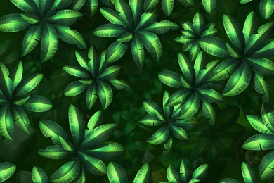 DK Vine: Donkey Kong Country Returns Artwork