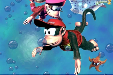 Donkey Kong Country 2 Wallpapers