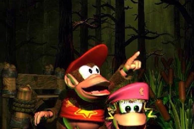 Ask And Yee Shall Receive...DKC 2 iPhone Wallpapers : Snes