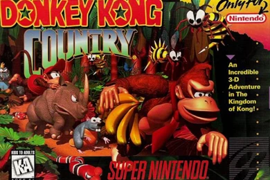 Fashionably Late: Donkey Kong Country