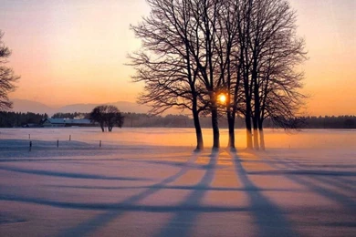 1024x768 Alleyway Winter Desktop PC And Mac Wallpapers