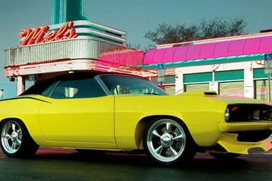 Cuda   Full HD Wallpapers Search