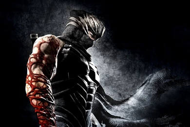 Ninja Gaiden 3 Artwork Wallpaper.jpg
