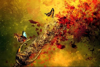 Bassnectar   Butterfly   YouTube