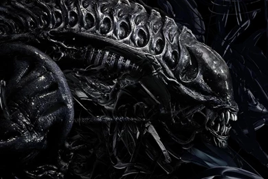 Alien Wallpapers 1600x1199   (