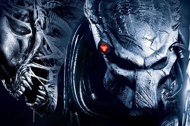 Alien Vs Predator Alien Wallpaper.