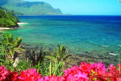 Nature Beach Wallpapers » WallDevil Best Free HD Desktop And ...