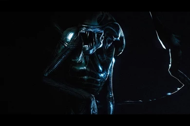 Alien Wallpapers   1920x1080 By Shavari1 On DeviantArt