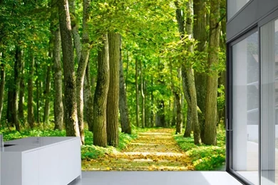 Free Shipping Green Forest Sunlight 3D Stereoscopic Large ...