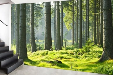 Free Shipping Forest Large Mural Wallpapers Bedroom Living Room ...