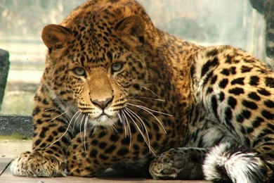 Beautiful Beach Hd Wallpapers (35)