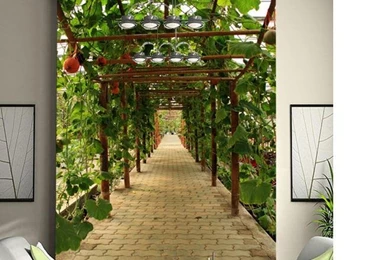 Paper Insert Picture   More Detailed Picture About New Large ...