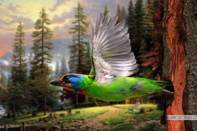 Wallpapers: All Wallpapers For Computer Desktop And Mobile